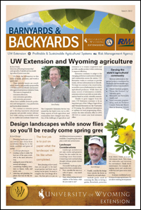 B&B Article Graphic of B&B Article