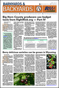 Graphic of B&B Article