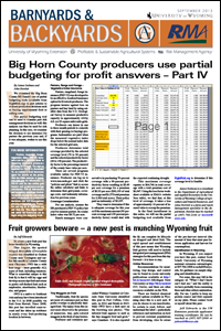 Graphic of B&B Article