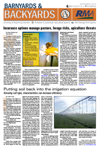 Graphic of B&B Article