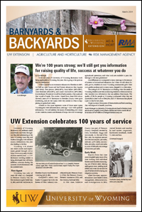 B&B Article Graphic of B&B Article