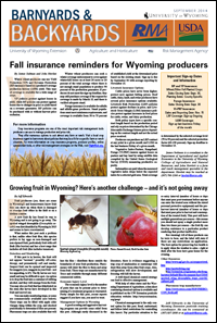 Graphic of B&B Article