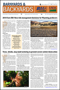 Graphic of B&B Article
