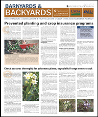 Graphic of B&B Article