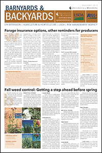Graphic of B&B Article