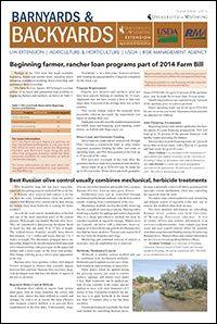 Graphic of B&B Article