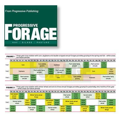Fitting annual forages in a crop rotation – Progressive Forage ...