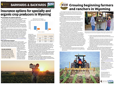 Graphic of B&B Article