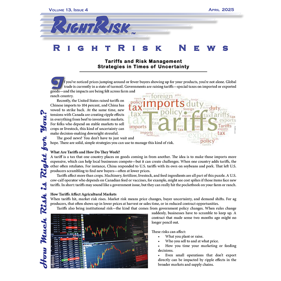 IMAGE: RightRisk News front page