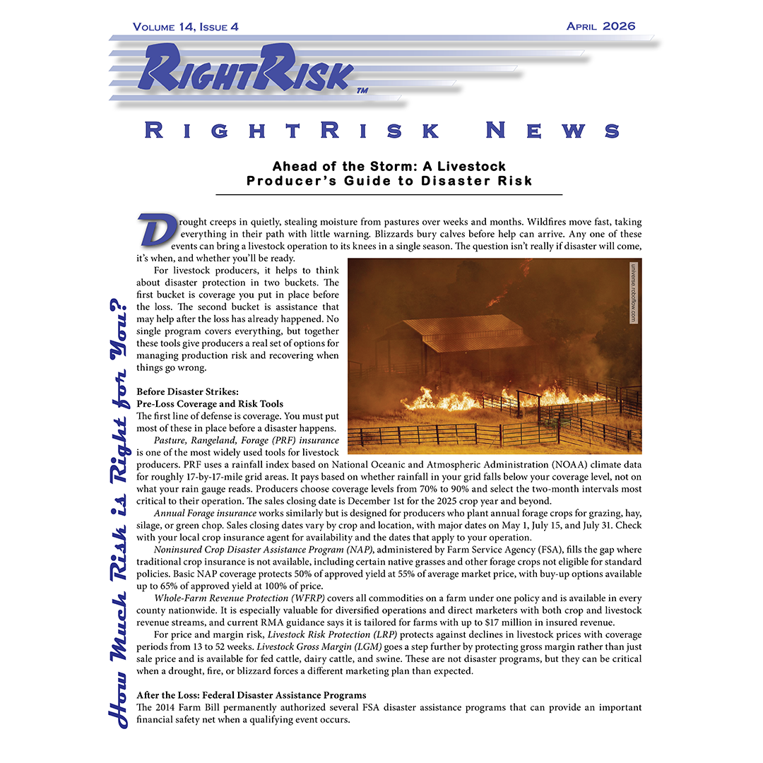 IMAGE: RightRisk News front page