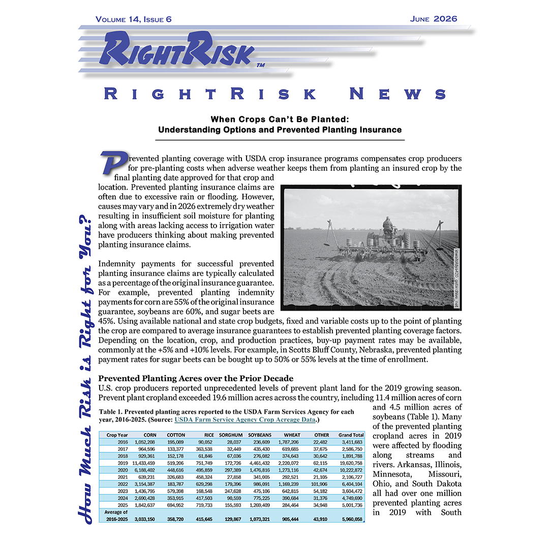 IMAGE: RightRisk News front page