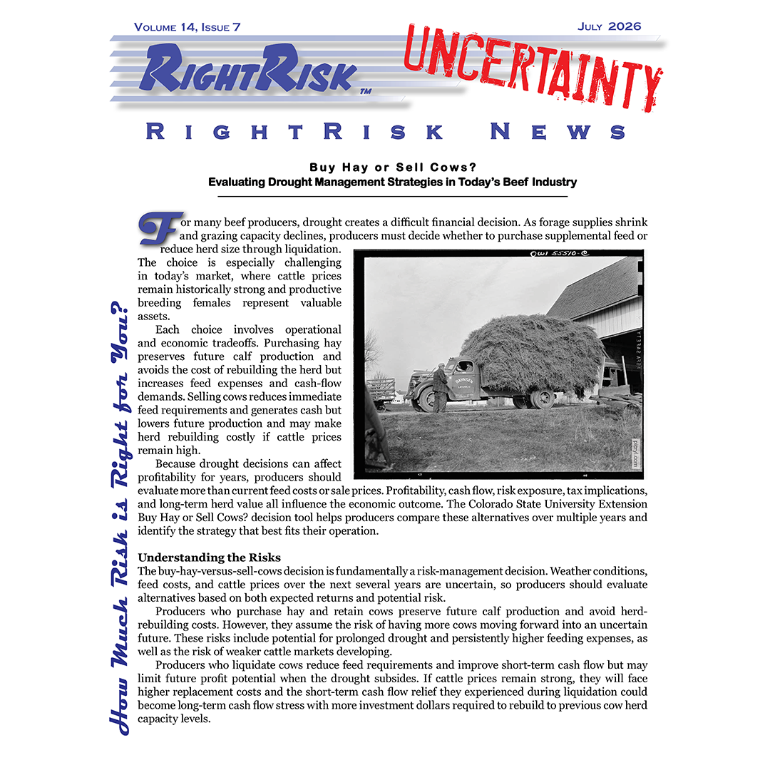 IMAGE: RightRisk News front page