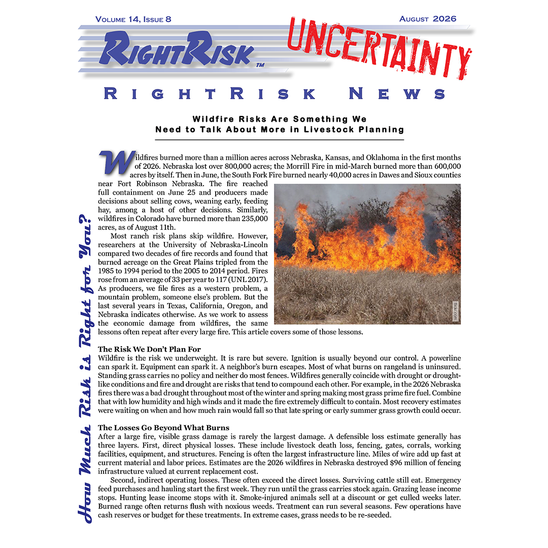 IMAGE: RightRisk News front page