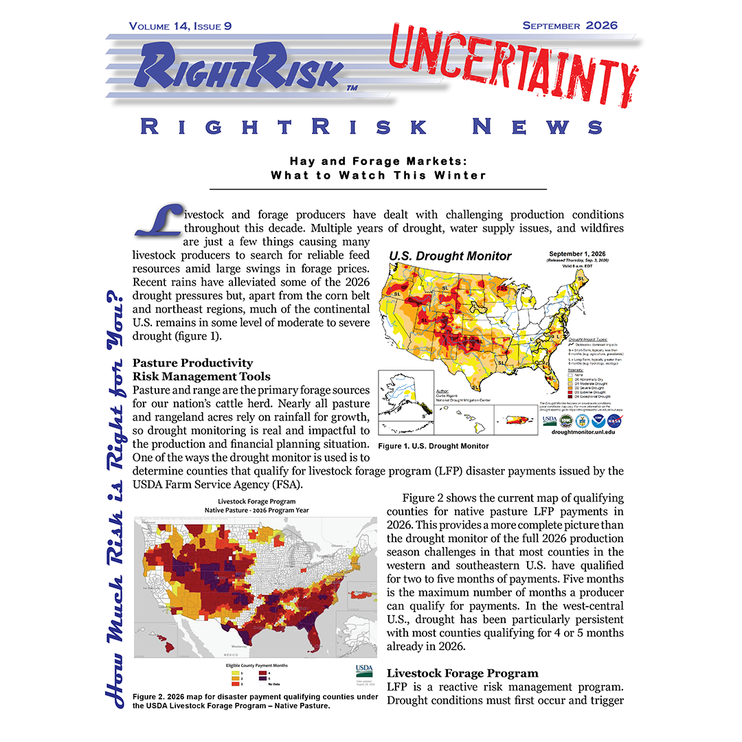 IMAGE: RightRisk News front page